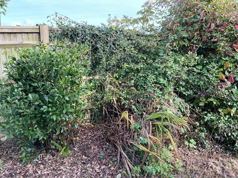 Landscape before after 001