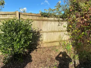 Landscape before after 002