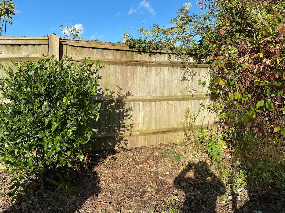 Landscape before after 002