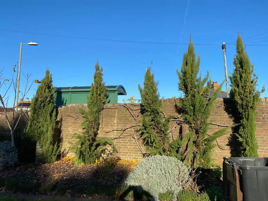 Landscape before after 007