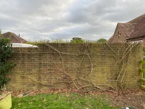 Landscape before after 014