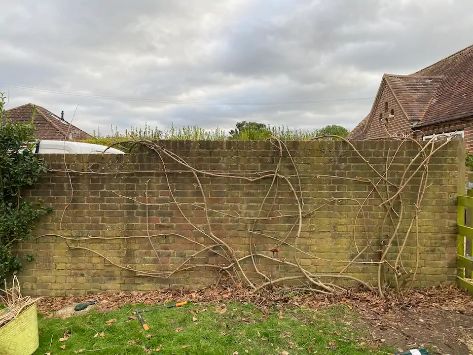 Landscape before after 014