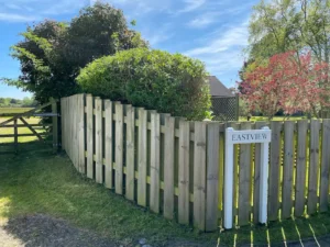 Landscape before after 018