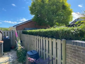 Landscape before after 023