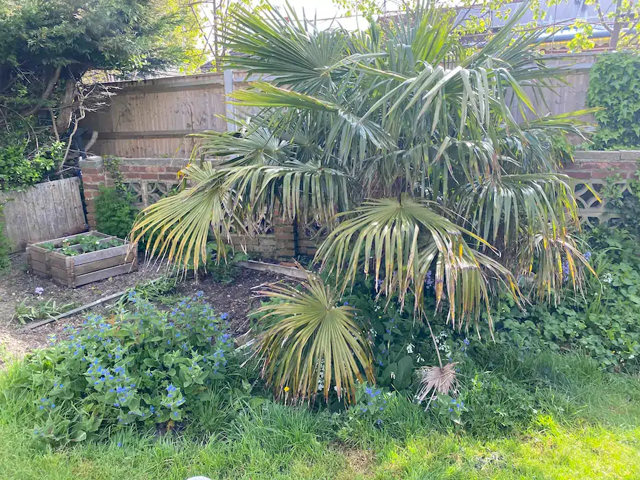 Landscape before after 024