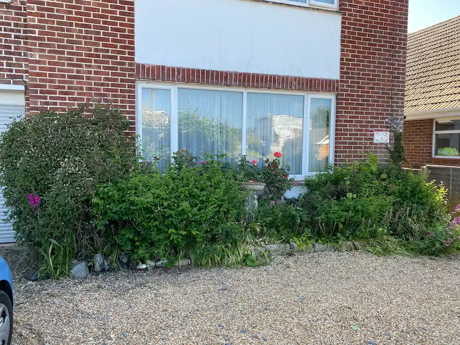 Landscape before after 026