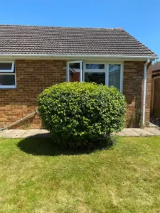 Portrait before after 000