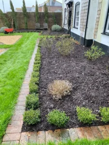 Portrait before after 032