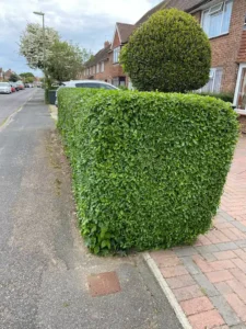 Portrait before after 057